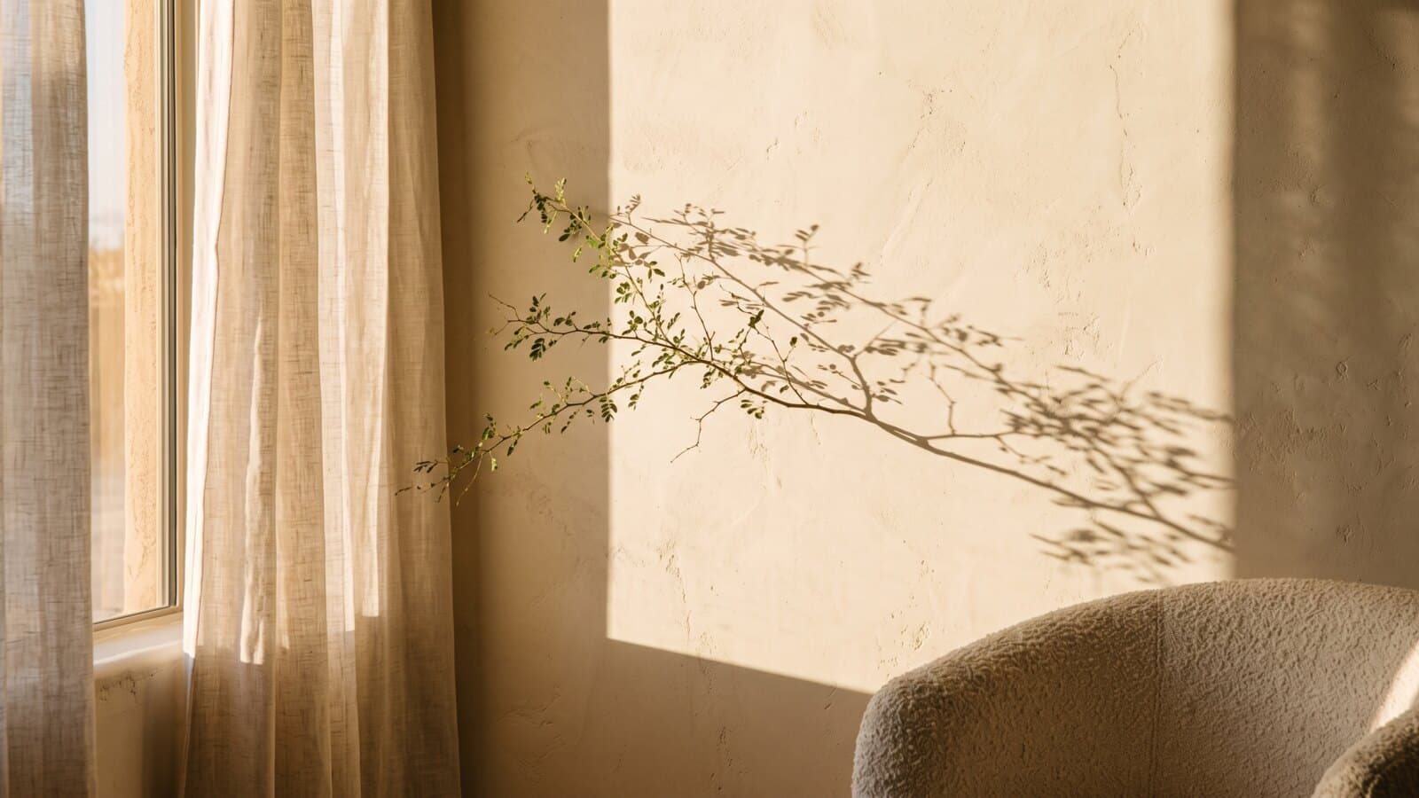 Low desert sunlight through a sheer linen curtain casting the long shadow of a branch across a warm plaster wall, the edge of a cream armchair at the corner of the frame.